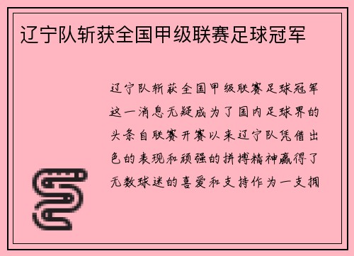 辽宁队斩获全国甲级联赛足球冠军